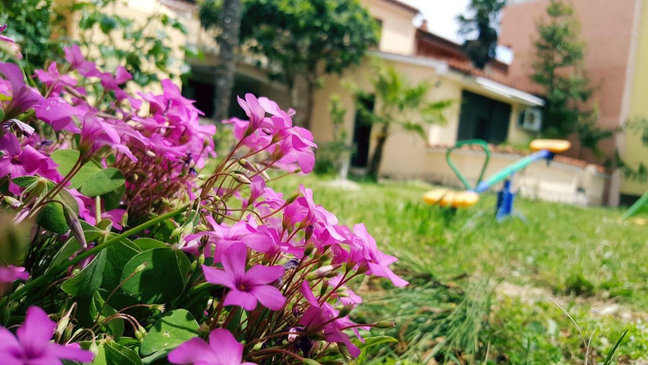 Apartmani Koin メドゥリン エクステリア 写真